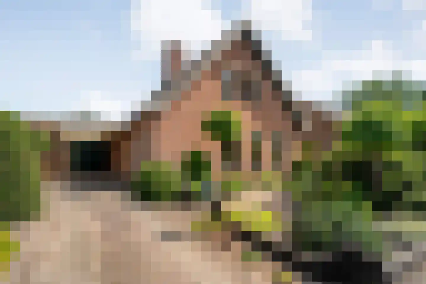 Wolfweg 26 Schuinesloot thumbnail 42
