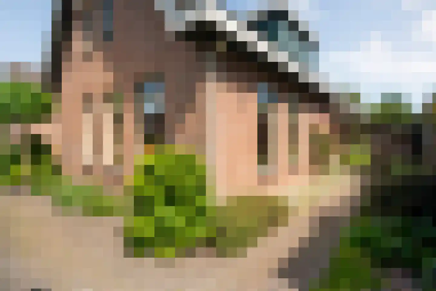 Wolfweg 26 Schuinesloot thumbnail 45