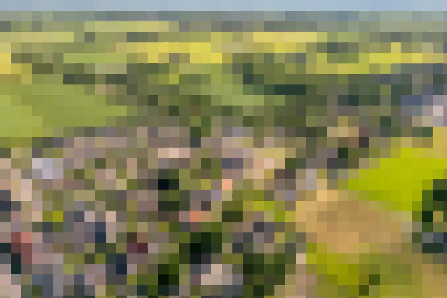 Wolfweg 26 Schuinesloot thumbnail 46