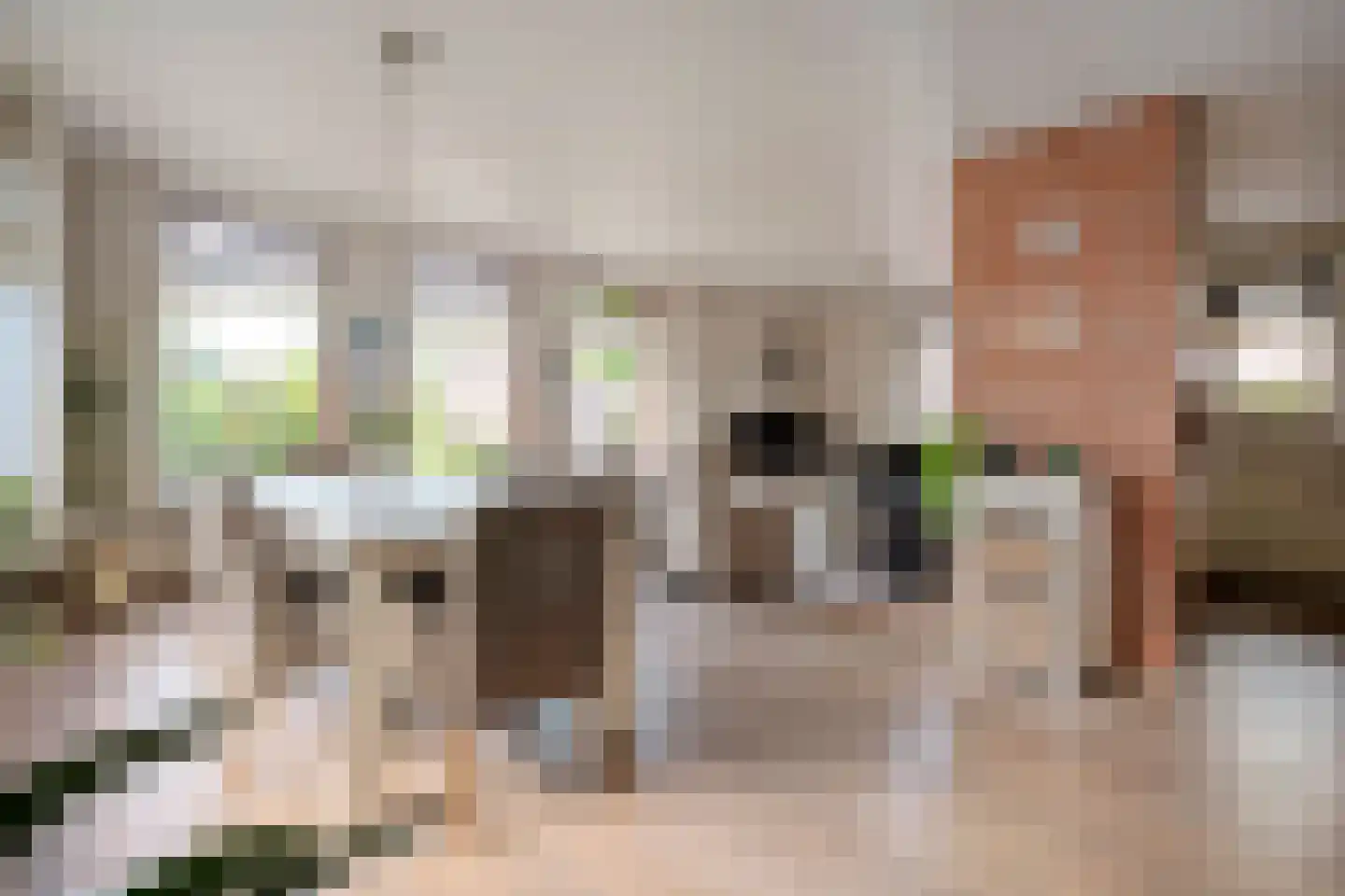 Wolfweg 26 Schuinesloot thumbnail 7