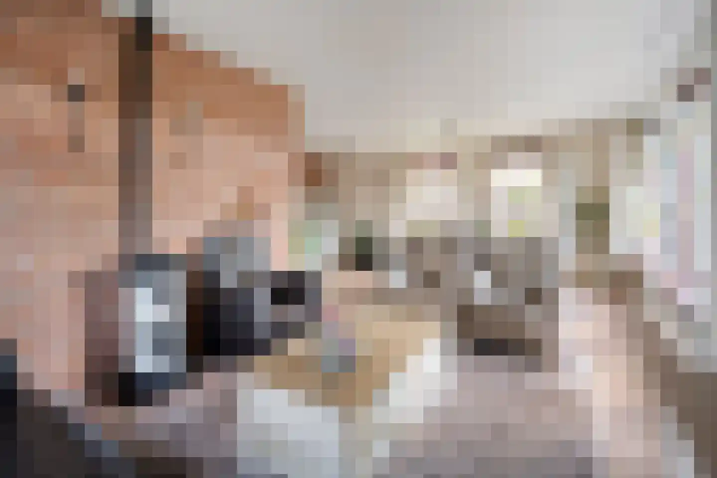 Wolfweg 26 Schuinesloot thumbnail 9