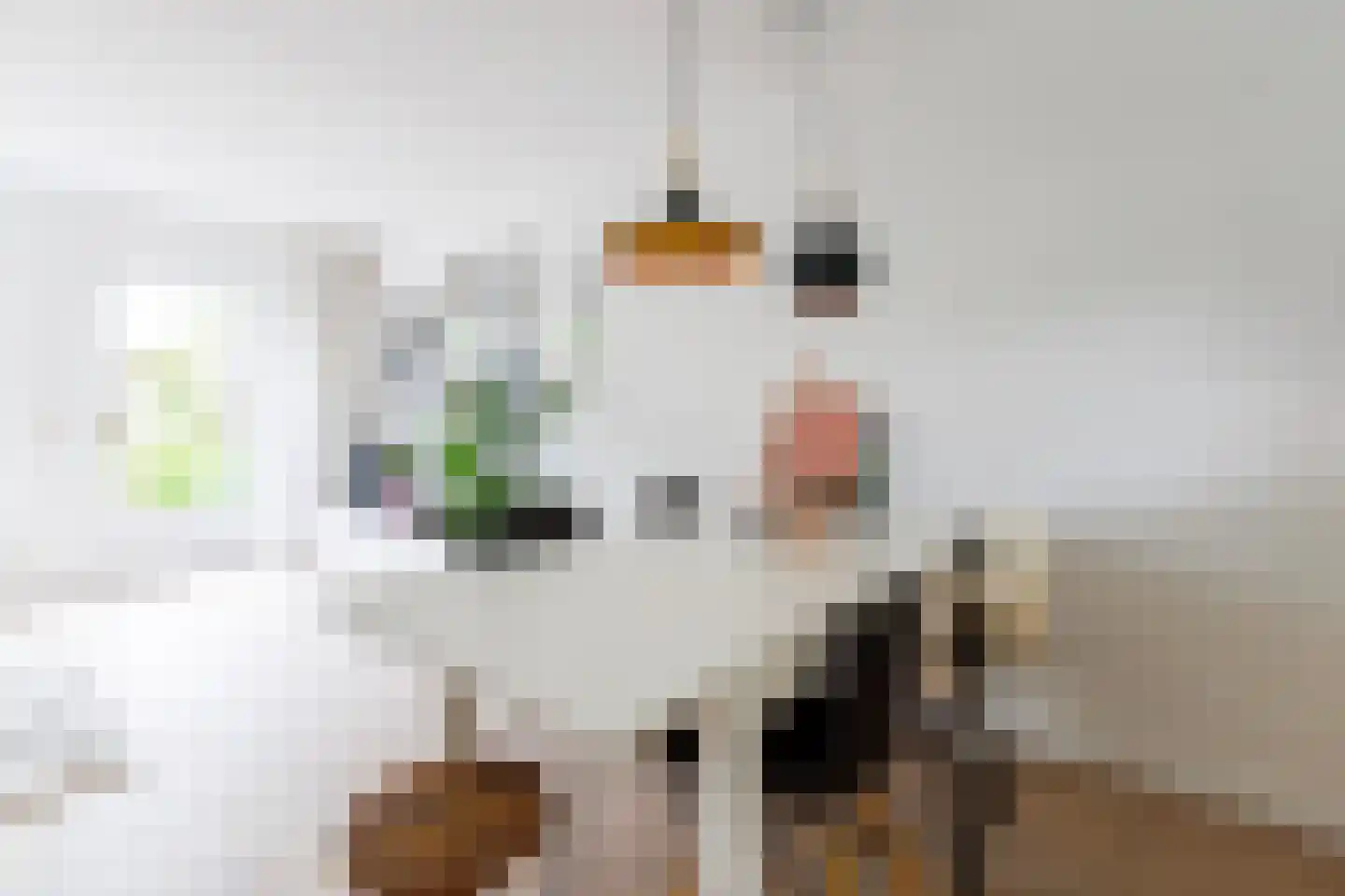 Wolga 10 Doetinchem thumbnail 11