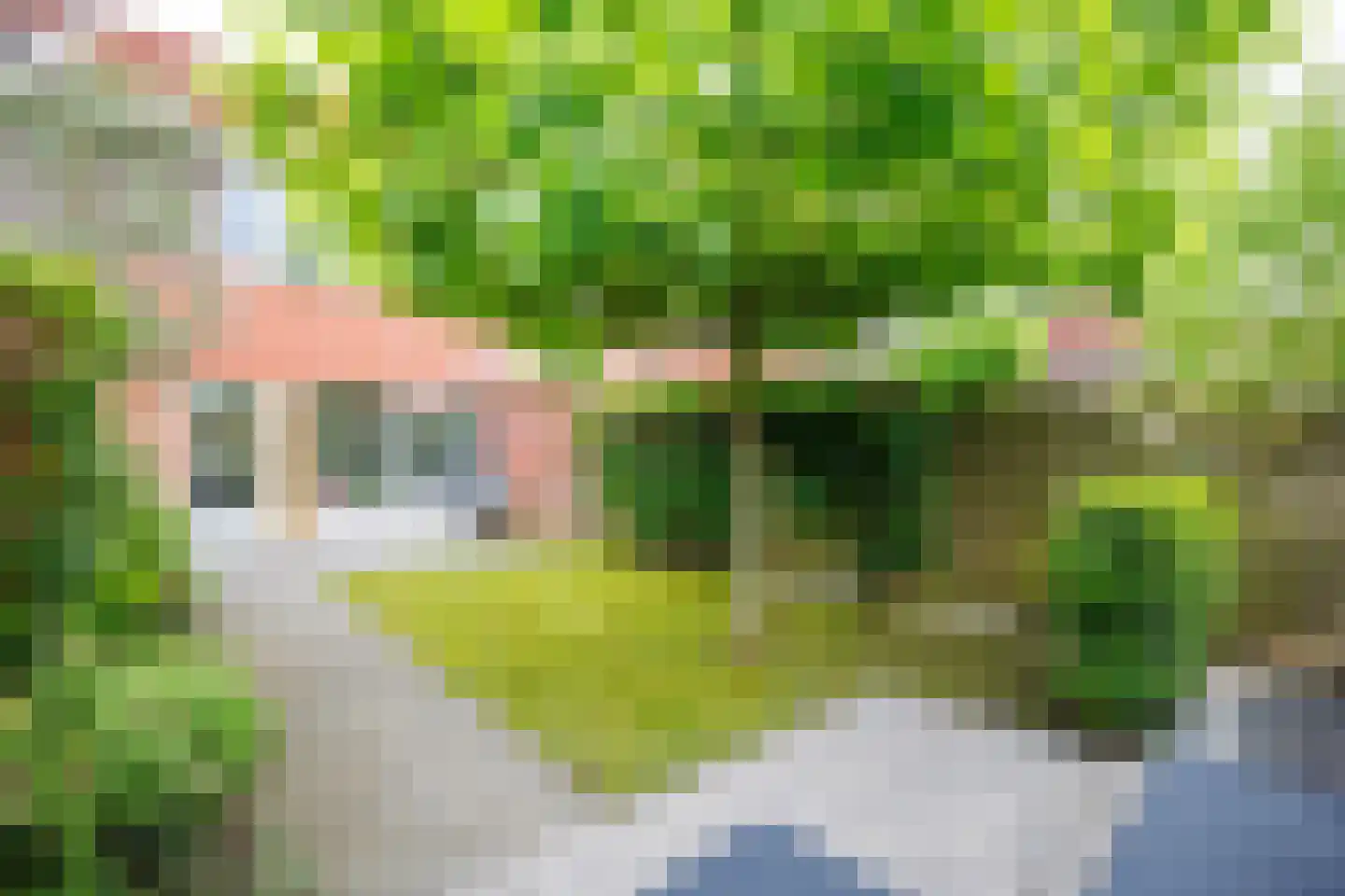 Wolga 10 Doetinchem thumbnail 16