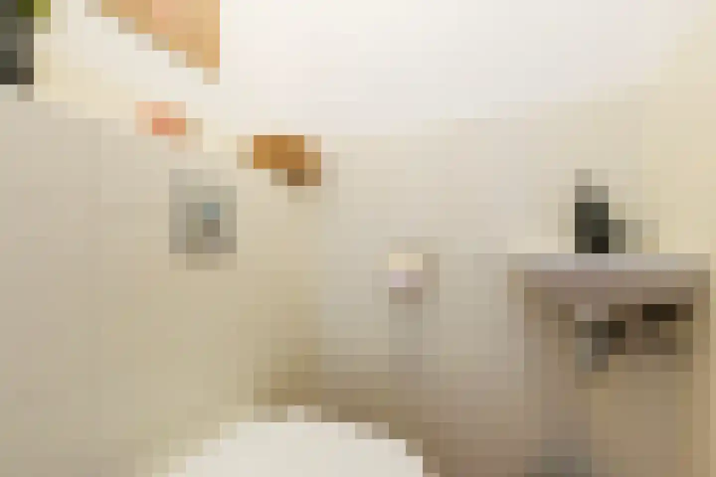 Wolga 10 Doetinchem thumbnail 20