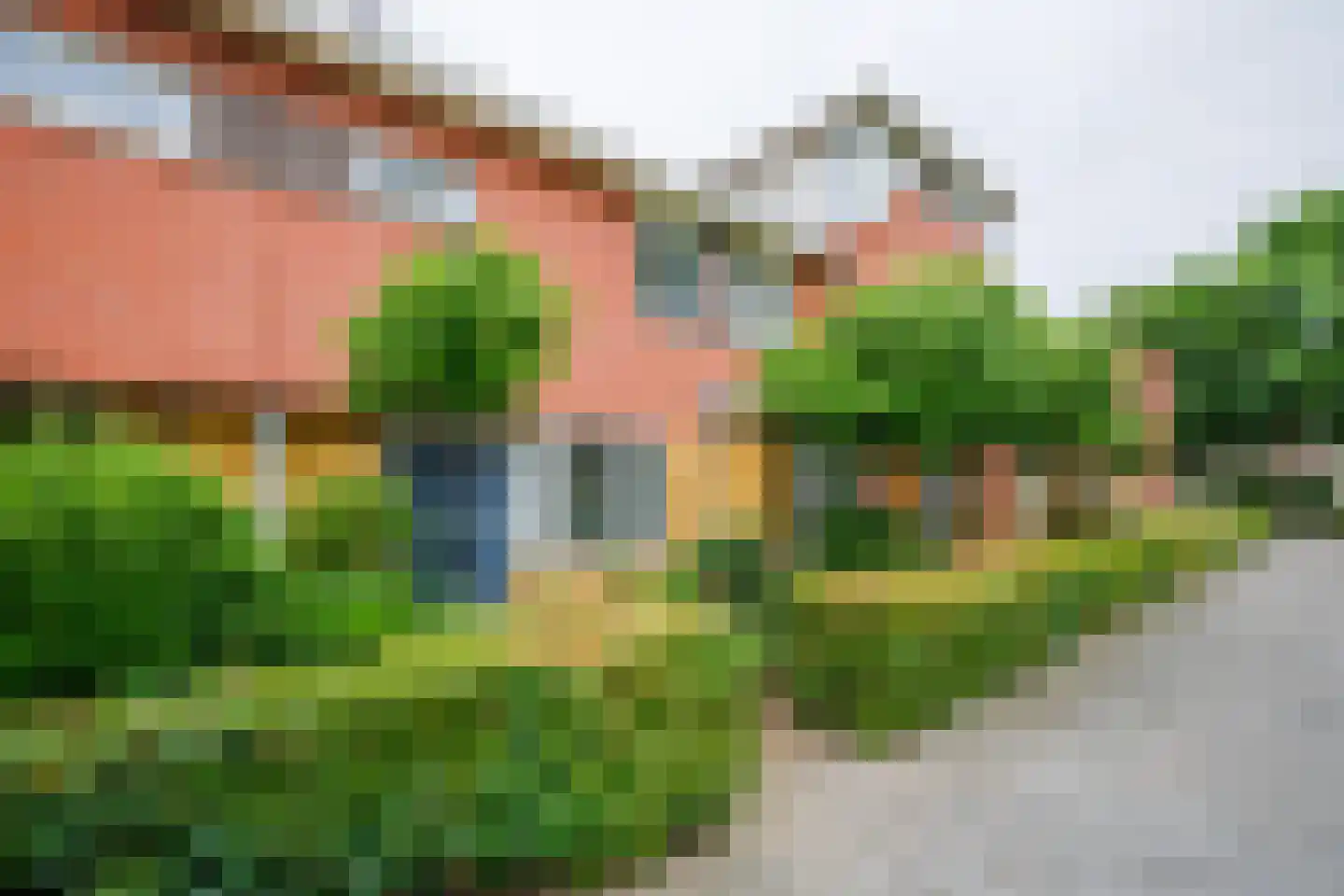 Wolga 10 Doetinchem thumbnail 33