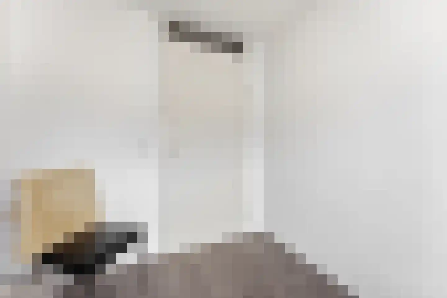 Wolga 131 Nieuwerkerk aan den IJssel thumbnail 30
