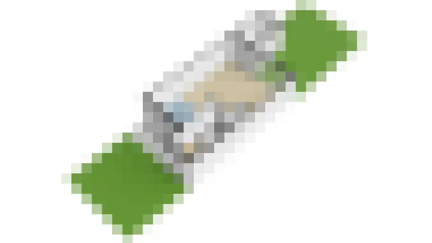 Wolga 131 Nieuwerkerk aan den IJssel thumbnail 42