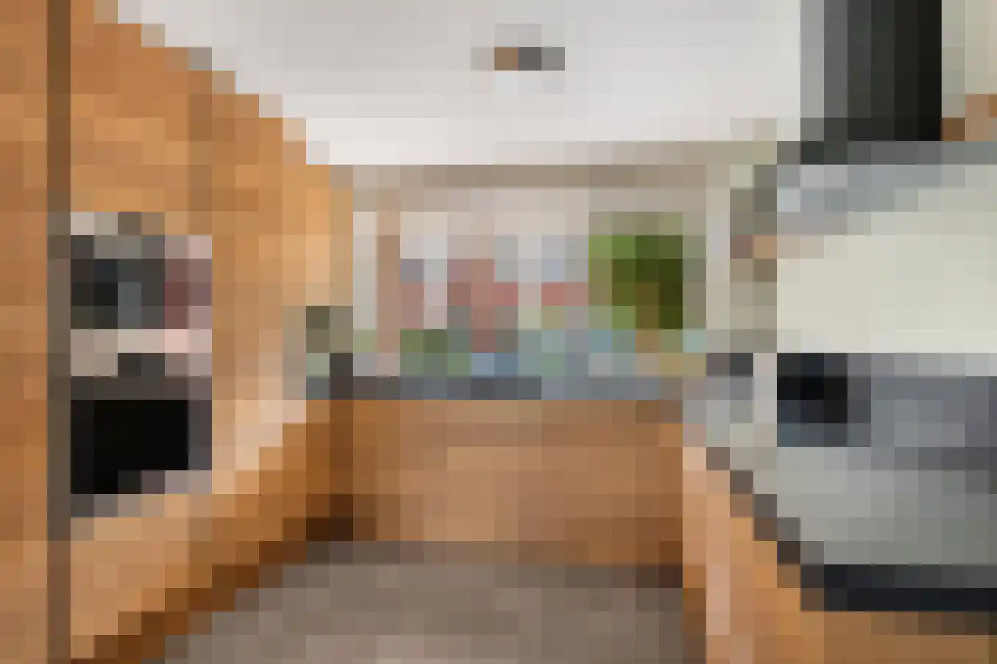 Wolga 143 Nieuwerkerk aan den IJssel thumbnail 10