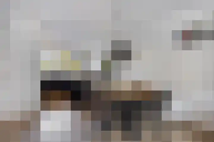 Wolga 159 Nieuwerkerk aan den IJssel thumbnail 10