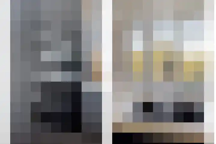 Wolga 159 Nieuwerkerk aan den IJssel thumbnail 13