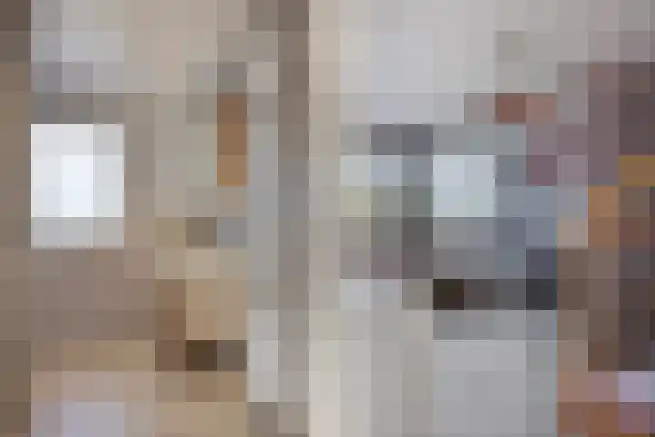 Wolga 159 Nieuwerkerk aan den IJssel thumbnail 26