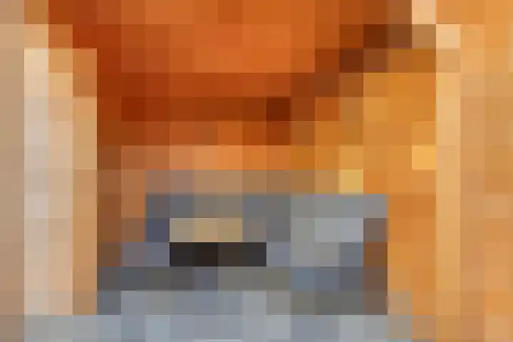 Wolga 159 Nieuwerkerk aan den IJssel thumbnail 34