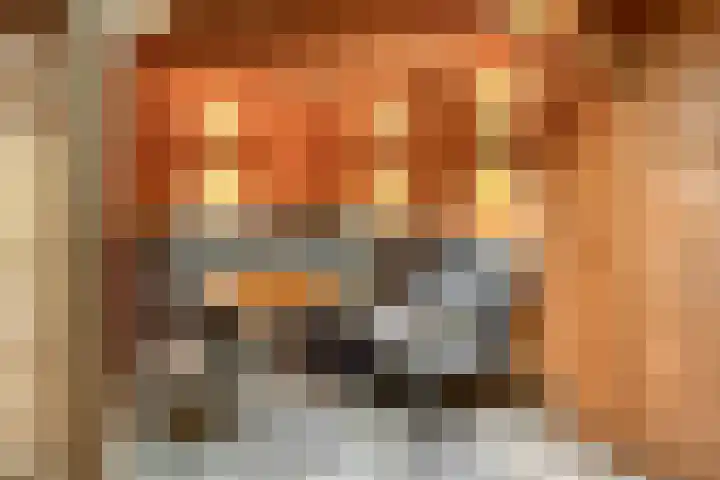 Wolga 159 Nieuwerkerk aan den IJssel thumbnail 36