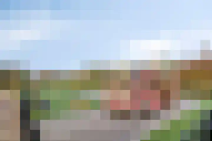 Wolga 159 Nieuwerkerk aan den IJssel thumbnail 37