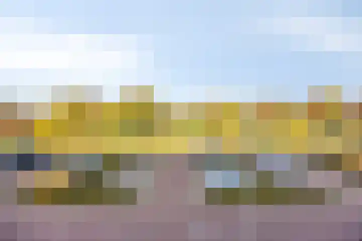 Wolga 159 Nieuwerkerk aan den IJssel thumbnail 42
