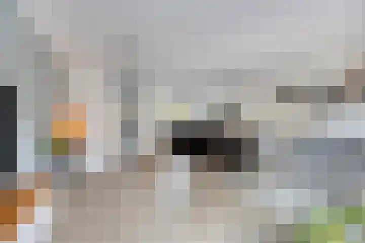Wolga 159 Nieuwerkerk aan den IJssel thumbnail 5