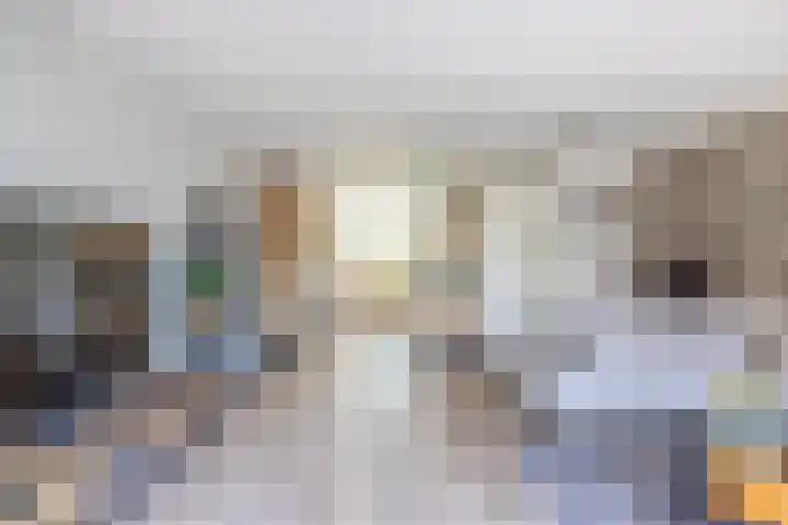 Wolga 2 Doetinchem thumbnail 10