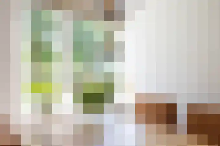 Wolga 2 Doetinchem thumbnail 15