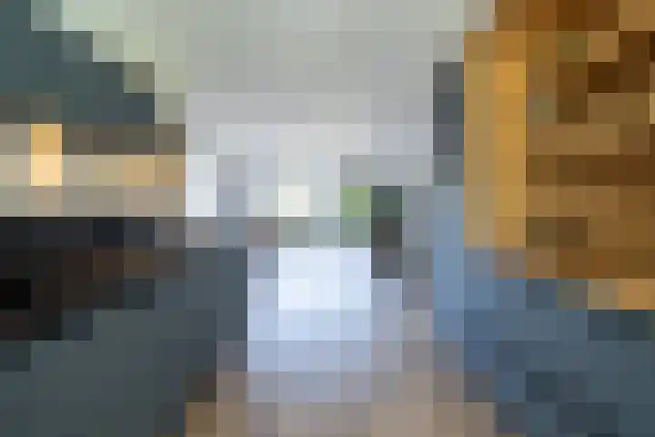 Wolga 2 Doetinchem thumbnail 17
