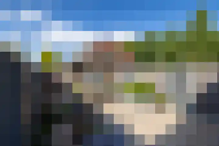 Wolga 2 Doetinchem thumbnail 20