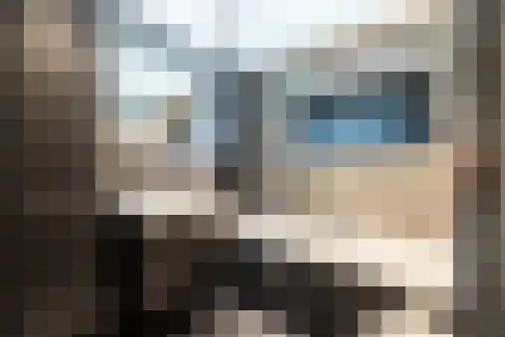Wolga 2 Doetinchem thumbnail 36