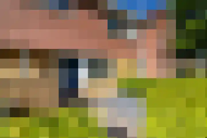 Wolga 2 Doetinchem thumbnail 43