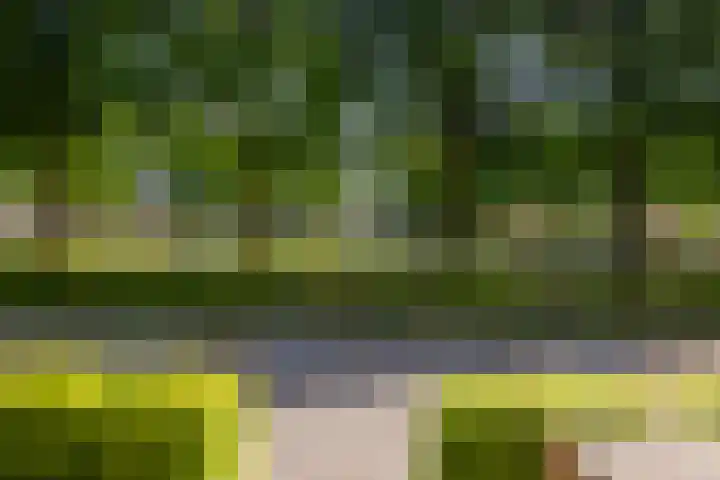 Wolga 2 Doetinchem thumbnail 44