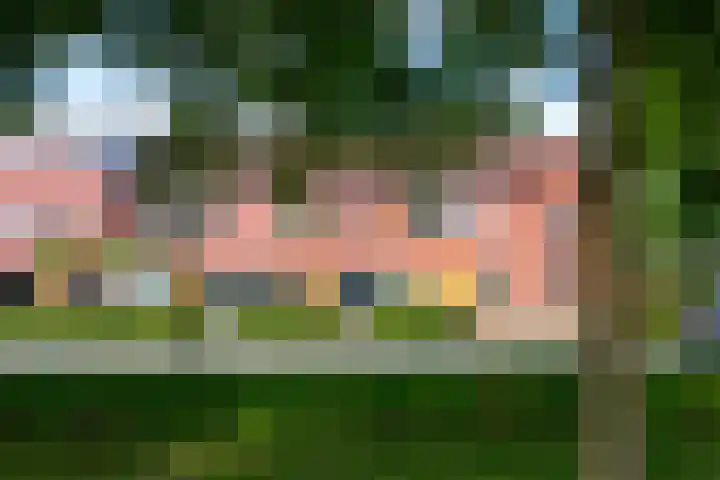 Wolga 2 Doetinchem thumbnail 47