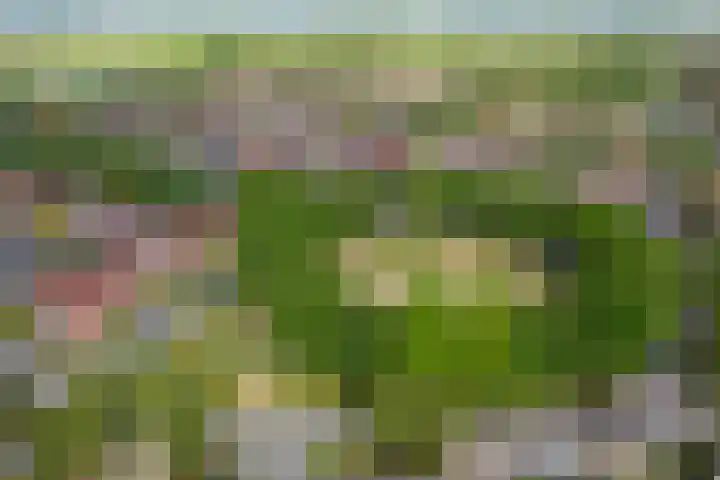 Wolga 2 Doetinchem thumbnail 51