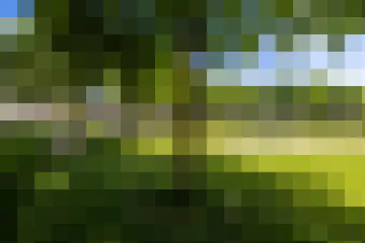 Wolga 2 Doetinchem thumbnail 52