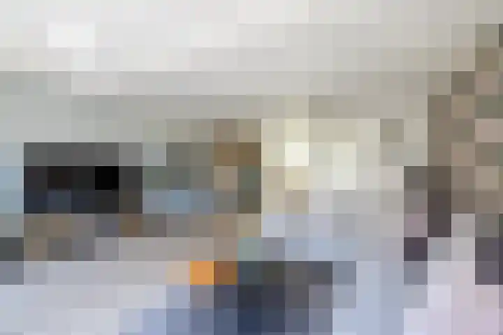 Wolga 2 Doetinchem thumbnail 7