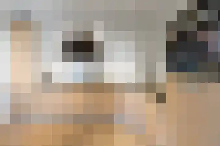 Wolga 26 Doetinchem thumbnail 15