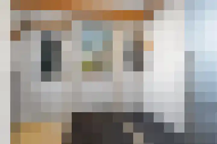 Wolga 26 Doetinchem thumbnail 17