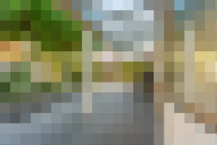 Wolga 26 Doetinchem thumbnail 18