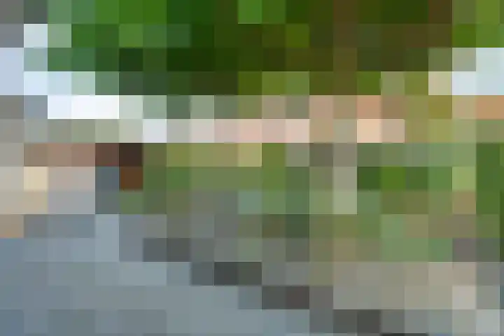 Wolga 26 Doetinchem thumbnail 21