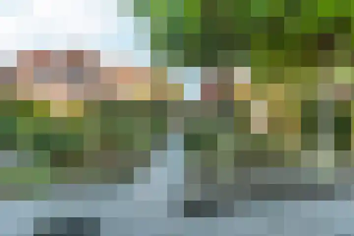 Wolga 26 Doetinchem thumbnail 22
