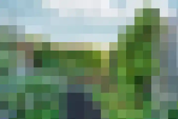 Wolga 26 Doetinchem thumbnail 24