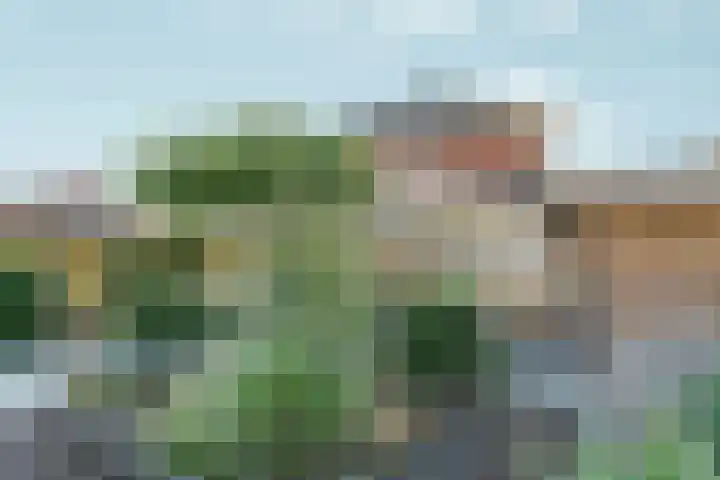 Wolga 26 Doetinchem thumbnail 25