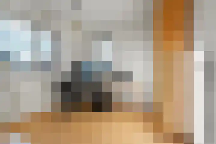 Wolga 26 Doetinchem thumbnail 39