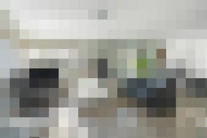 Wolga 26 Doetinchem thumbnail 4