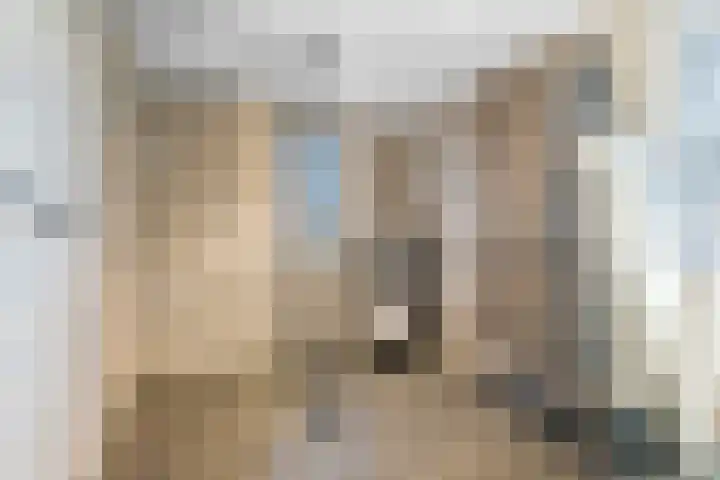 Wolga 26 Doetinchem thumbnail 44