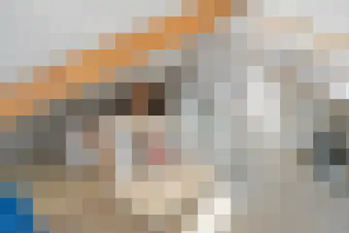 Wolga 26 Doetinchem thumbnail 49