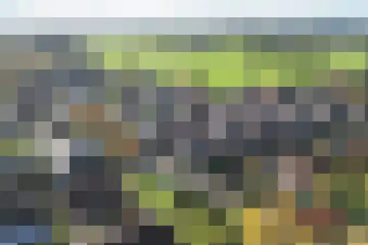 Wolga 26 Doetinchem thumbnail 55