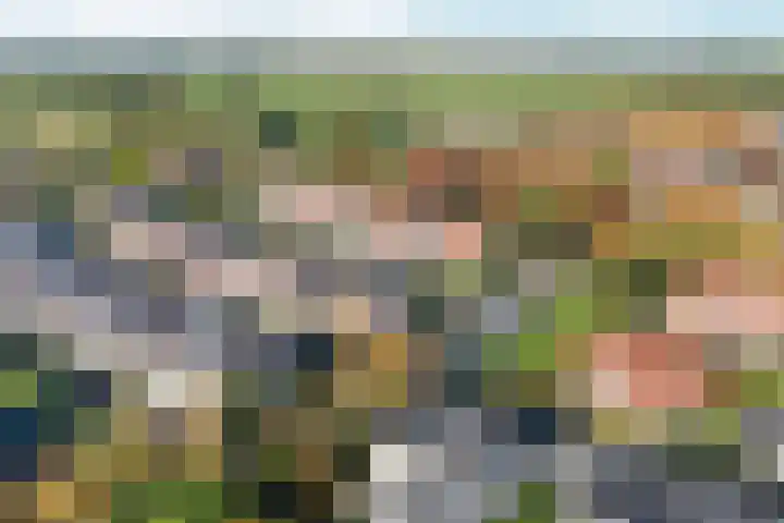 Wolga 26 Doetinchem thumbnail 56