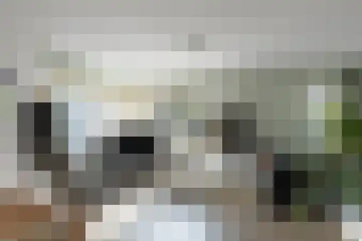 Wolga 26 Doetinchem thumbnail 8