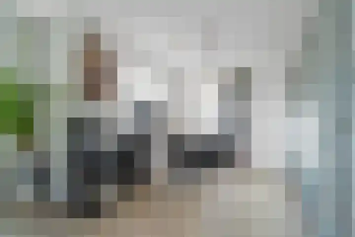 Wolga 26 Doetinchem thumbnail 9