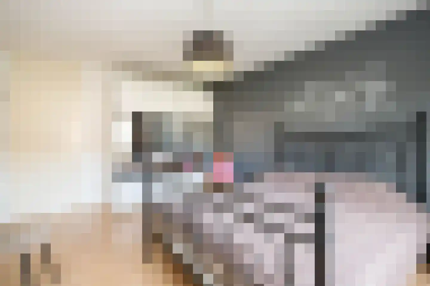 Wolga 26 Nieuwerkerk aan den IJssel thumbnail 21