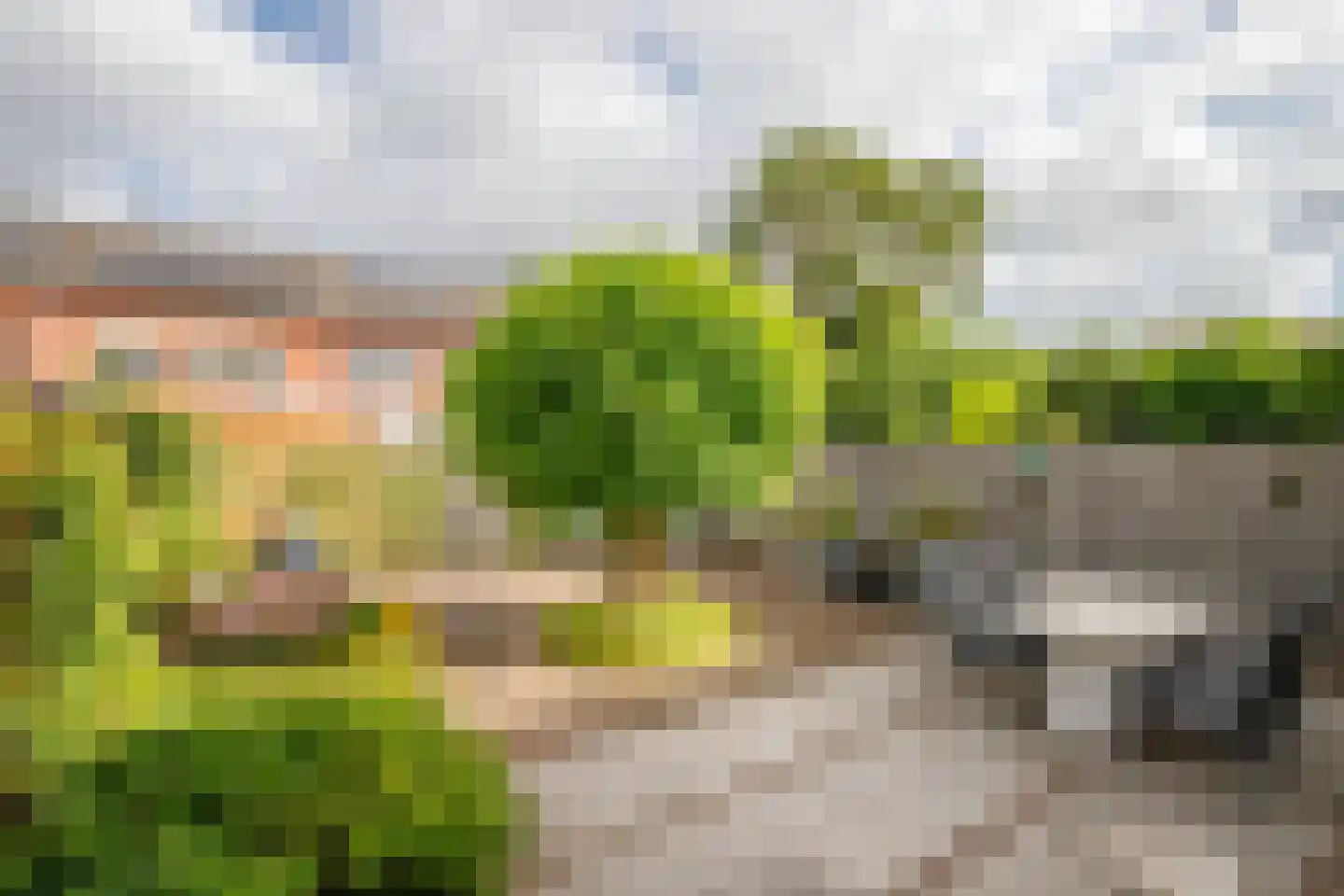 Wolga 26 Nieuwerkerk aan den IJssel thumbnail 35