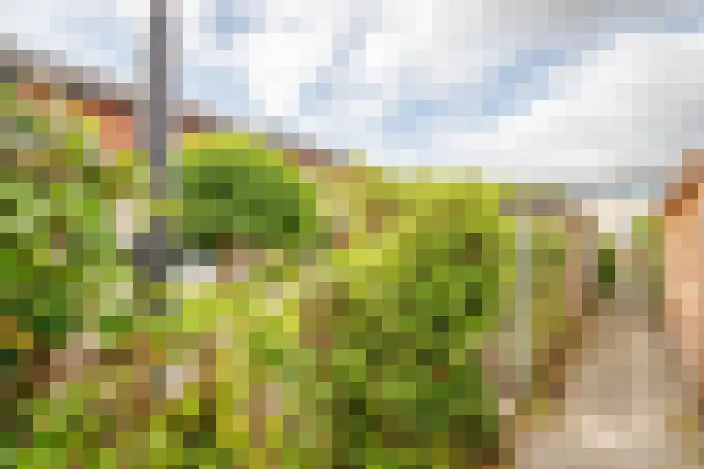 Wolga 26 Nieuwerkerk aan den IJssel thumbnail 39