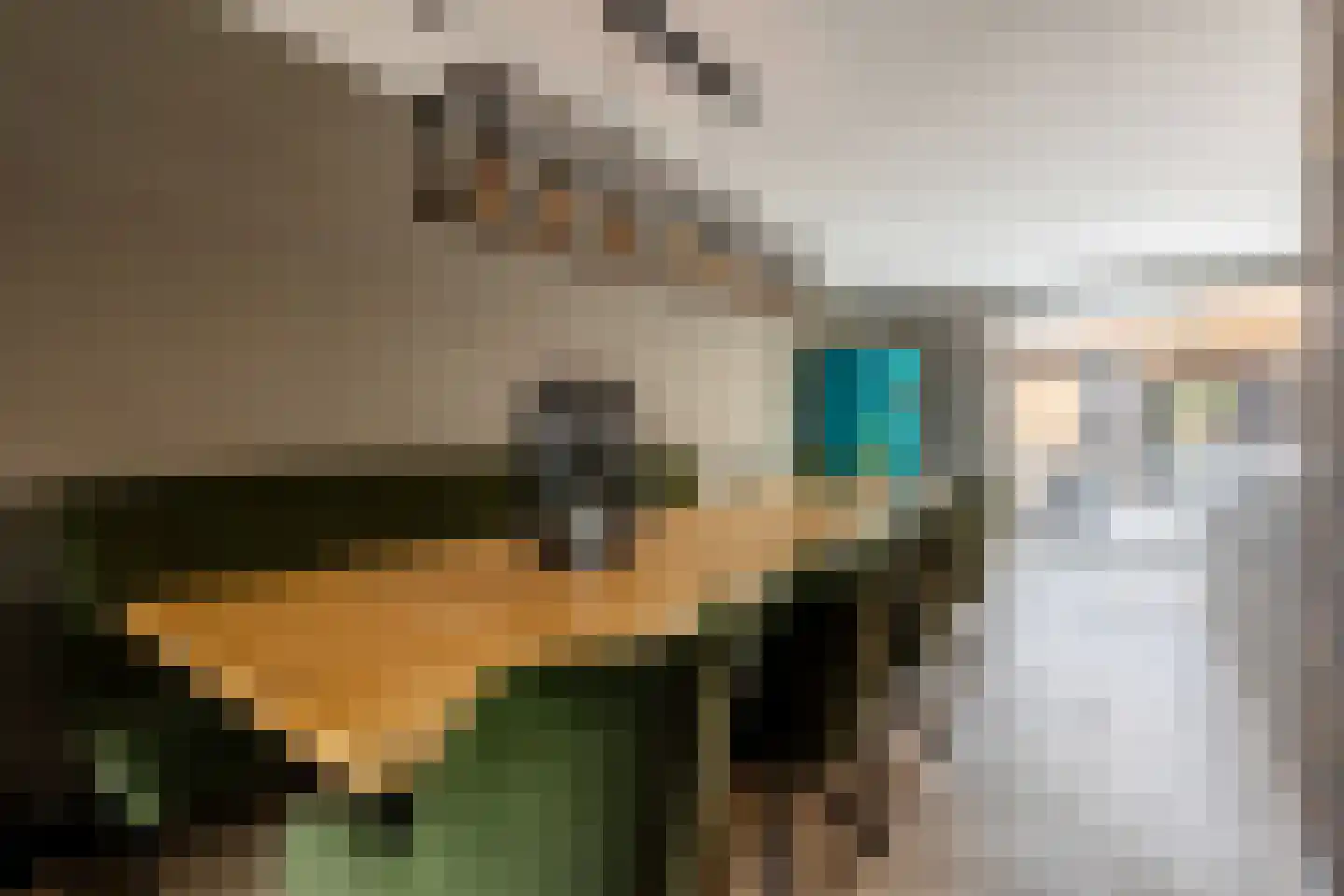 Wolga 27 Nieuwerkerk aan den IJssel thumbnail 12